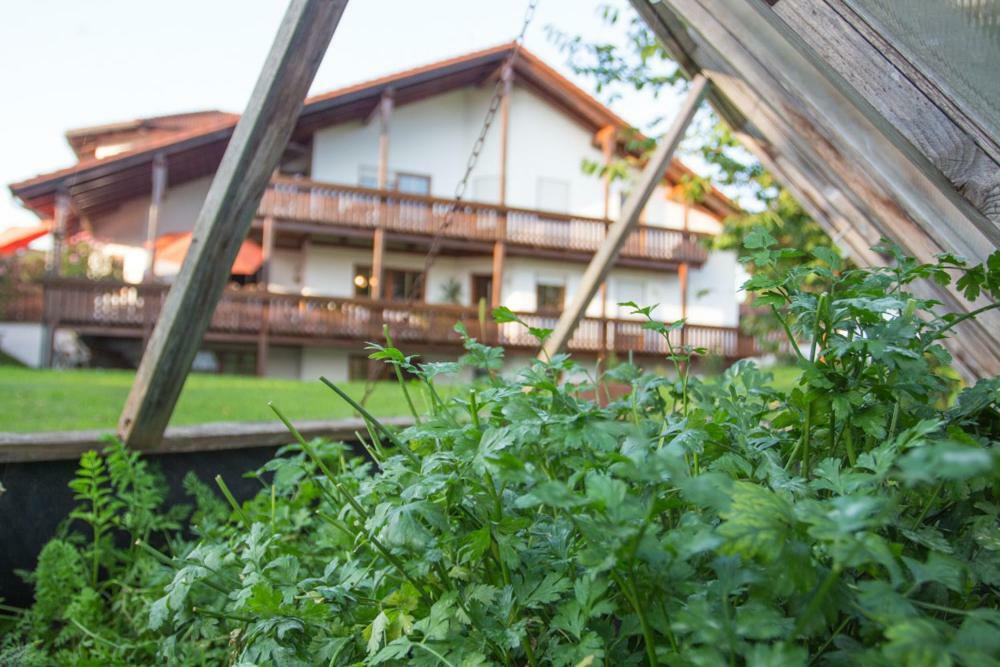 Auszeit-Wohnungen Aidenbach エクステリア 写真